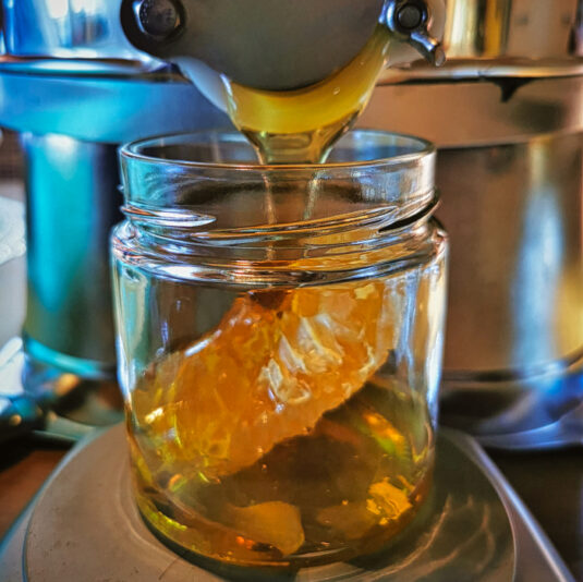 Abfüllung des Honigs mit Wabe